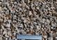 gravilla_12-18