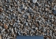 gravilla_6-12